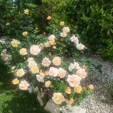 Philippe Et Eliane Matha